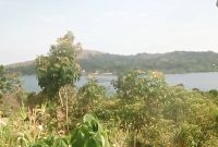 13 acres lake view land for sale in Busagazi Buikwe at 22m per acre