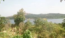 13 acres lake view land for sale in Busagazi Buikwe at 22m per acre