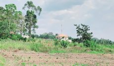 2 acres of commercial land for sale in Sonde at 200m per acre