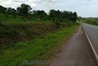 50x100ft plot for sale in Mbilizi at 6m
