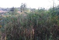 5 acres of land for sale in Namayumba at 35m per acre