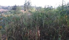 5 acres of land for sale in Namayumba at 35m per acre
