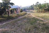 38 decimals for sale in Namuzikiza Mityana at 15m per acre