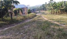 38 decimals for sale in Namuzikiza Mityana at 15m per acre