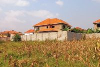 25 decimals plot of land for sale in Kira Kito at 145m