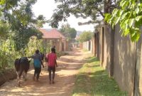 27 decimals plot of land for sale in Lungujja 400m