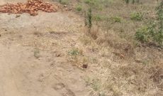 50x100ft plot of land for sale in Kasanja Mbale at 14.5m