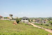 50x100ft plot of land for sale in Gayaza St. Julian at 30m