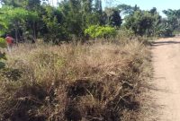 70x100ft plot of land for sale in Namabasa Mbale at 16m