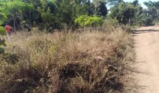 70x100ft plot of land for sale in Namabasa Mbale at 16m