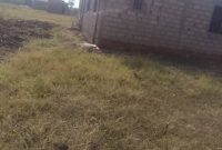 50x110ft for sale in Mbale Doko at 150m