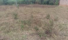 60x85ft land for sale in Budaka Nasenyi at 14m shillings