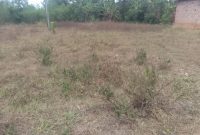 50x100ft plot of land for sale in Nasenyi Budaka at 20m