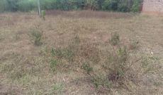 50x100ft plot of land for sale in Nasenyi Budaka at 20m