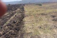 Farmland for lease in Bumambutye Bulambuli at 250,000 shillings