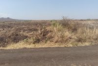 16 Acres farm land for sale in Bunambutye Bulambuli at 7m Uganda shillings per acre