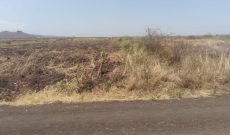 16 Acres farm land for sale in Bunambutye Bulambuli at 7m Uganda shillings per acre