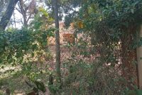 1 acre of land for sale in Munyonyo Mulungu at 1m USD