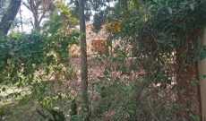 1 acre of land for sale in Munyonyo Mulungu at 1m USD