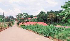 50x100ft plot of land for sale in Kira Mulawa at 85m