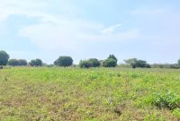 400 acres farmland for sale in Kikyusa Luwero at 5m per acre