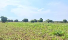 400 acres farmland for sale in Kikyusa Luwero at 5m per acre