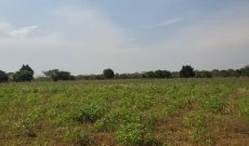 200 acres of farmland for sale in Nakaseke Wakyato at 5m per acre