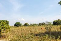 2 square miles for sale in Kikyusa Luwero at 5m per acre