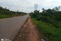2 acres commercial plot of land for sale in Matugga Bombo road at 350m