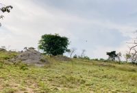 2 acres of land for sale in Dundu Gayaza at 95m per acre