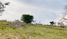 2 acres of land for sale in Dundu Gayaza at 95m per acre