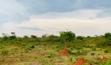 2 square miles for sale in Kikyusa at 5m per acre