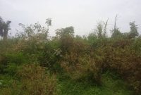 3 acres of land for sale in Kamengo Masaka Road at 10m per acre