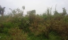 3 acres of land for sale in Kamengo Masaka Road at 10m per acre