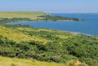 260 acres of Island land for sale in Bwema at 15m per acre