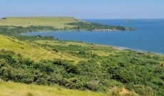 260 acres of Island land for sale in Bwema at 15m per acre
