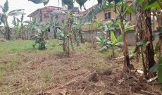 14 decimals commercial plot of land for sale in Kira Nabusugwe at 60m