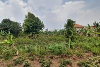 25 decimals plot of land for sale in Kira Nabusugwe at 105m