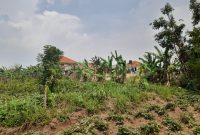 25 decimals plot of land for sale in Kira Nabusugwe at 105m