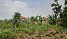 25 decimals plot of land for sale in Kira Nabusugwe at 105m