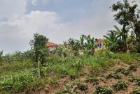 50x100ft plot of land for sale in Kira Kiwologoma 55m