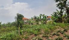 50x100ft plot of land for sale in Kira Kiwologoma 55m