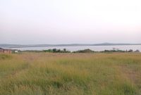 4 Square miles of lake view land for sale in Katosi 25m Per Acre