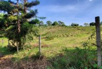 15 acres of land for sale in Matugga Kigogwa at 100m per acre