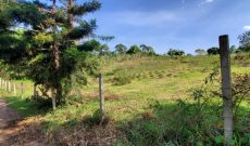 15 acres of land for sale in Matugga Kigogwa at 100m per acre