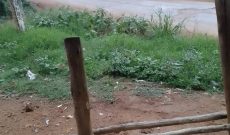 8 acres of land for sale along Mityana road at Zigoti at 15m per acre