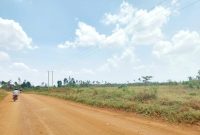 25 acres of land for sale in Zirobwe at 15m per acre
