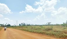 25 acres of land for sale in Zirobwe at 15m per acre