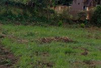 1 acre commercial land for sale in Bweyogerere Jinja road at 700m