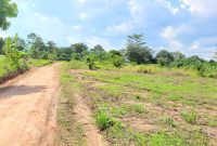 50x100ft plots of land for sale in Kasangati Buwagga at 32m